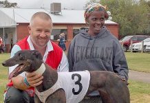 Hounds: Quinlivian gives classic best shot