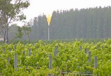 Gas exploration activity imminent in South East