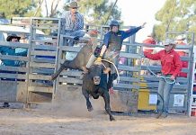 Rodeo: Penola prepares for thrills and spills