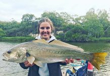 Fishing: Prime time to wet a line