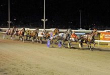 Harness racing: Gold and glory await trotters