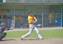 Baseball: Tigers celebrate heritage round win