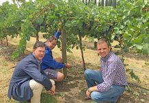 Food production initiative