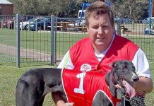 Greyhounds: Visiting trainer on fire