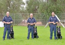 Rescue dog joins South Australian police ranks