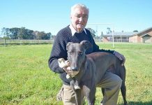 Greyhounds: Board leaves nothing to chance