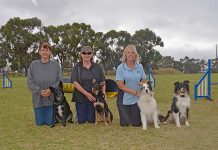 Furry friends compete in Blue Lake city