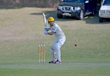 Cricket: Schutz stands up