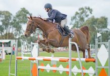 Champions throw hat in the ring