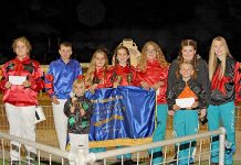 Harness racing: Evie seals up Gold Cup victory