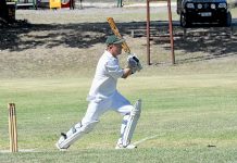 New cricket champions