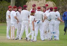 Cricket: Demons in hot form