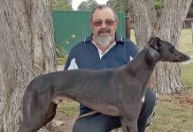 Greyhounds: Bartholomew still chasing fairytale