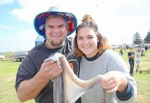 Seaside festival provides fun for everyone