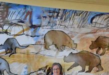 Mount Gambier artist’s work on show