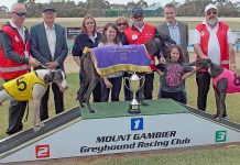 Greyhounds: Xtreme Caution etched in history