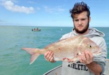 Fishing: No shortage of shark