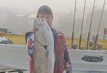 Fishing: Tuna steer clear of Bay