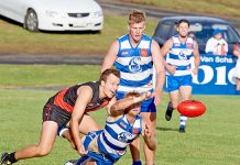 Football: Cats trump Dogs