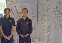 Artistic cultural experience