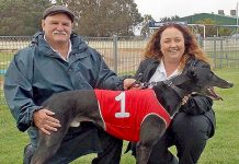 Hounds: Veteran arrives on time