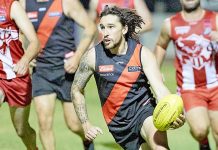 Football: Bulldogs shine