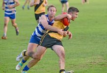 Football: Cats pounce to victory