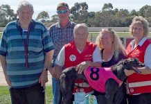 Greyhounds: Easter prize for leading trainer