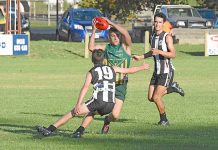 Football: Magpies win match MSE match of the round