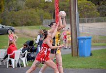 Netball: Davey stands tall for Tigers