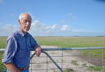 Shoo Roo: Population boom triggers harvest call