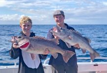 Tuna reels in anglers