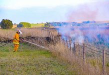 Burn-offs break lines