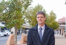 Town hall trees to be replaced