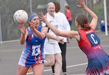 Netball: Cats fall just short of upset in Western Border