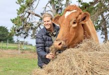 Just what the doctor ordered