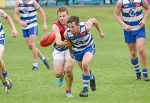 Roos ready to conquer Cats