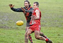 Demon delight on dirty day for dogs