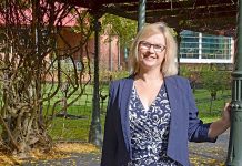 Government urged to discourage log exports