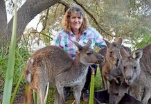 Devoted carer rescues wildlife