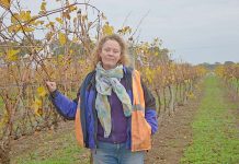 International opportunity for winemaker
