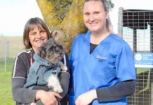 Welfare League seeks justice