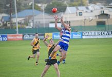 Tigers enter deep waters