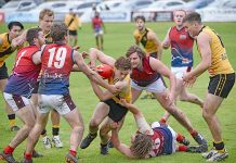 Surging Roos reclaim sliverware