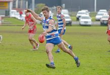 Cats continue undefeated streak in 2018 season