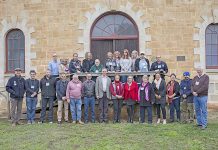 Suicide prevention networks combine to raise awareness