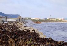 Coastal property risk research