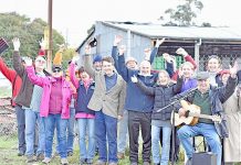 The little campaign that could