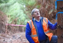 Research revolution into forestry industry