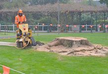 Gardens prepared for new tree arrival